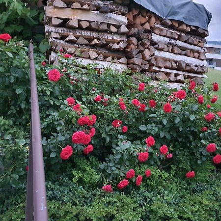 Dreamlandranch Vorarlberg Leilighet Schlins Eksteriør bilde